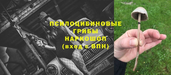 марки lsd Заводоуковск